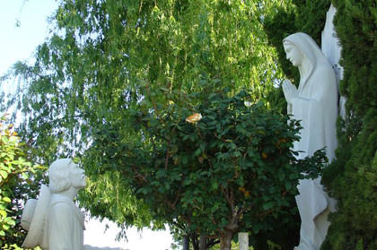 statue at St. John's Catholic Cemtery in Modesto, CA